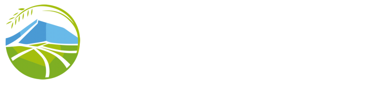 https://www.olhoo78.com/pc/image/logo.png